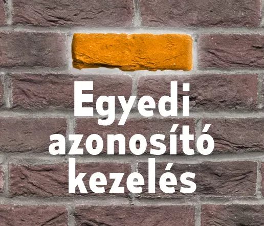 Egyedi azonosító kezelés